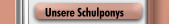 Unsere Schulponys